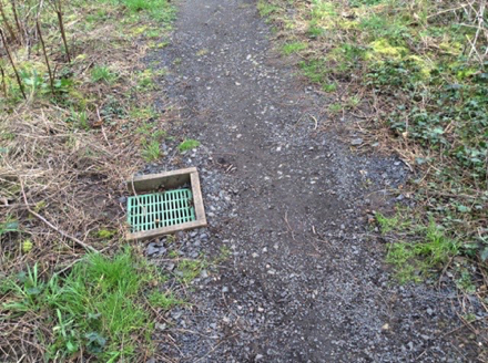 Drain in the path may be a tripping hazard